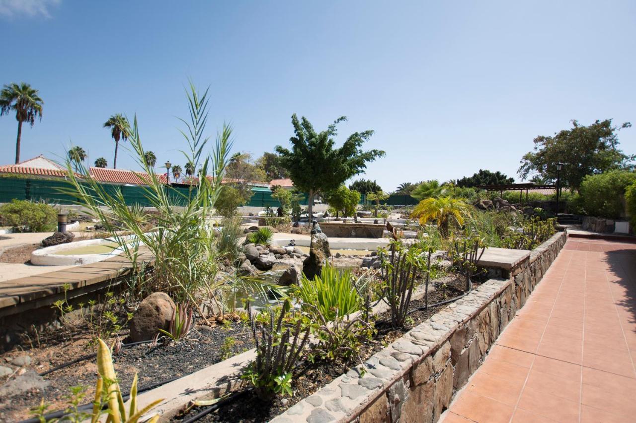 Serenity Garden ماسبالوماس المظهر الخارجي الصورة