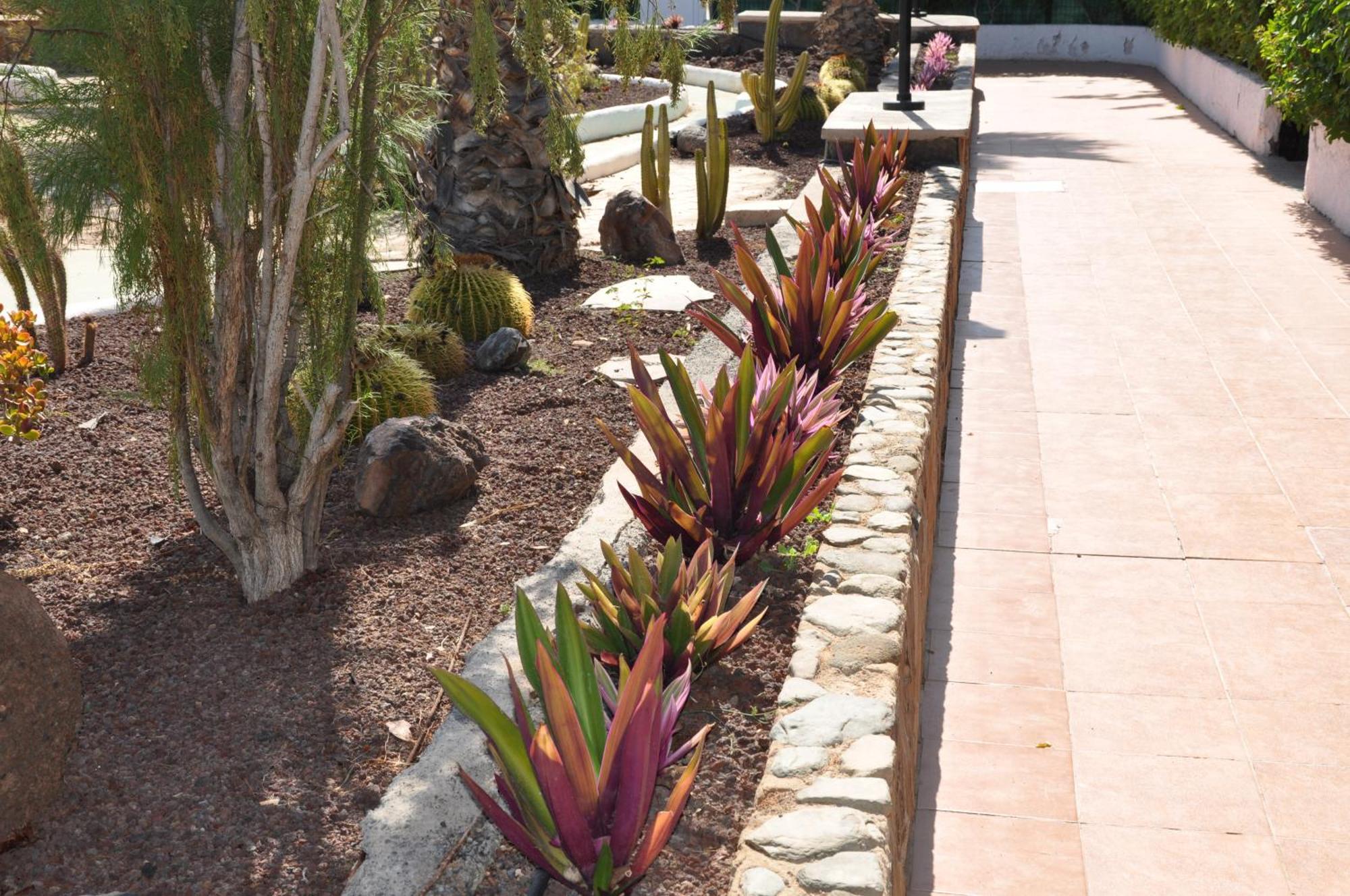 Serenity Garden ماسبالوماس المظهر الخارجي الصورة