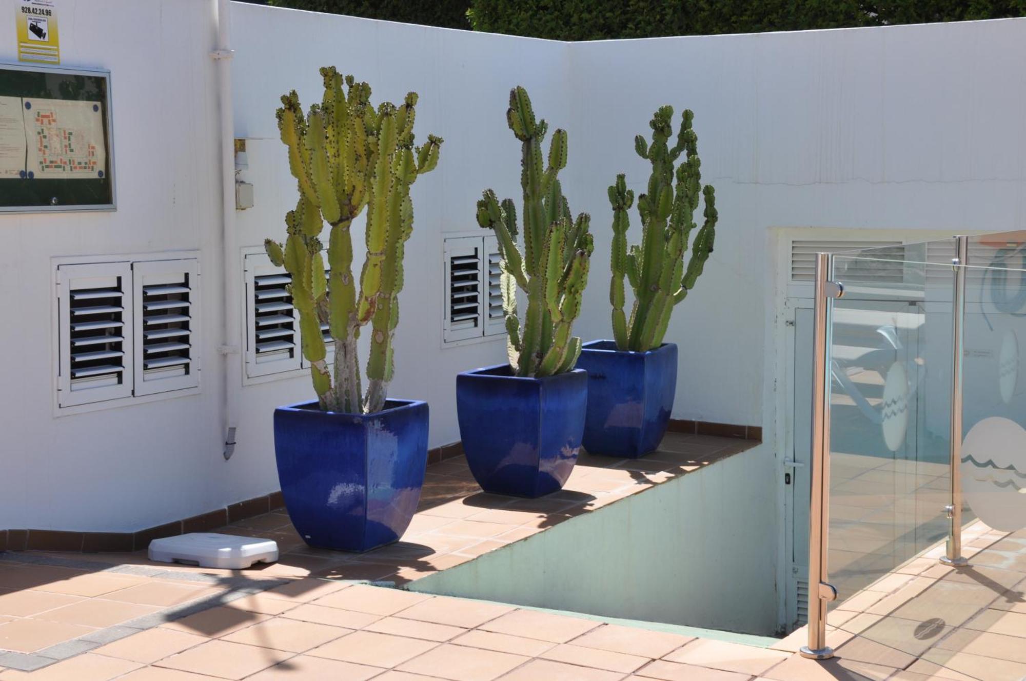 Serenity Garden ماسبالوماس المظهر الخارجي الصورة