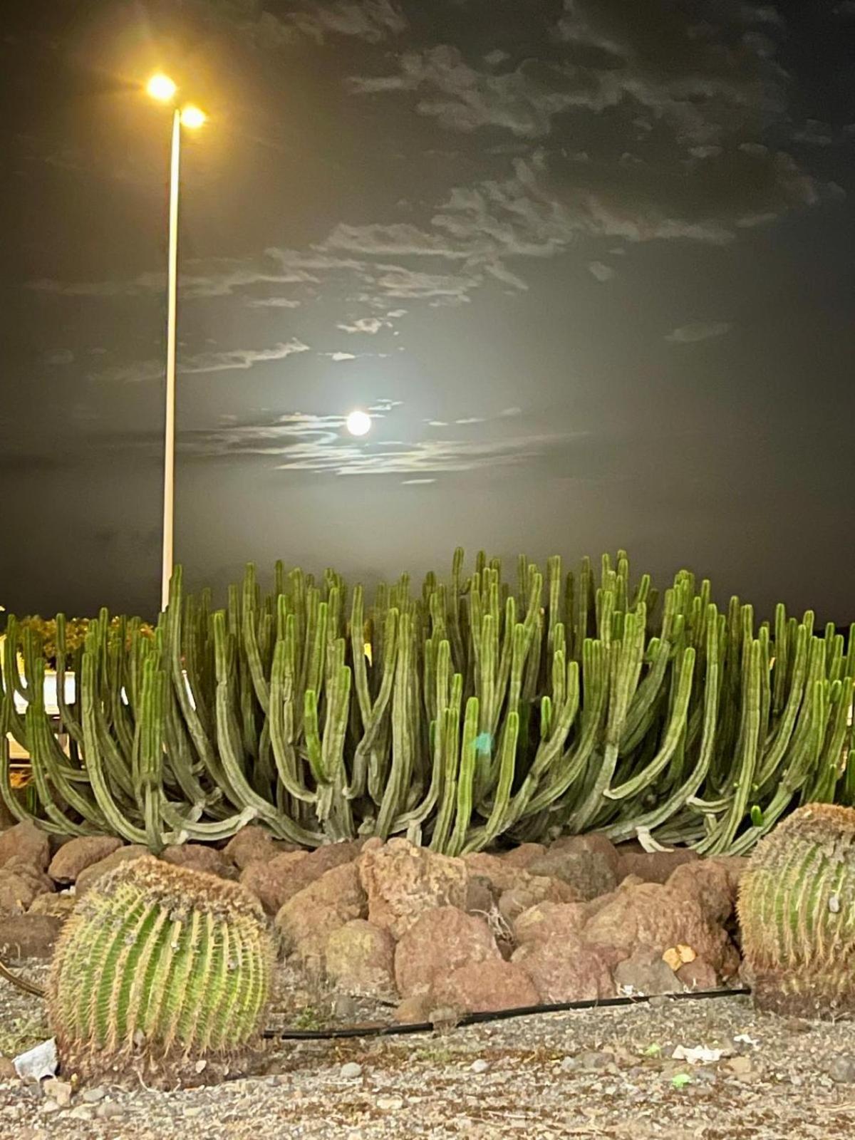 Serenity Garden ماسبالوماس المظهر الخارجي الصورة