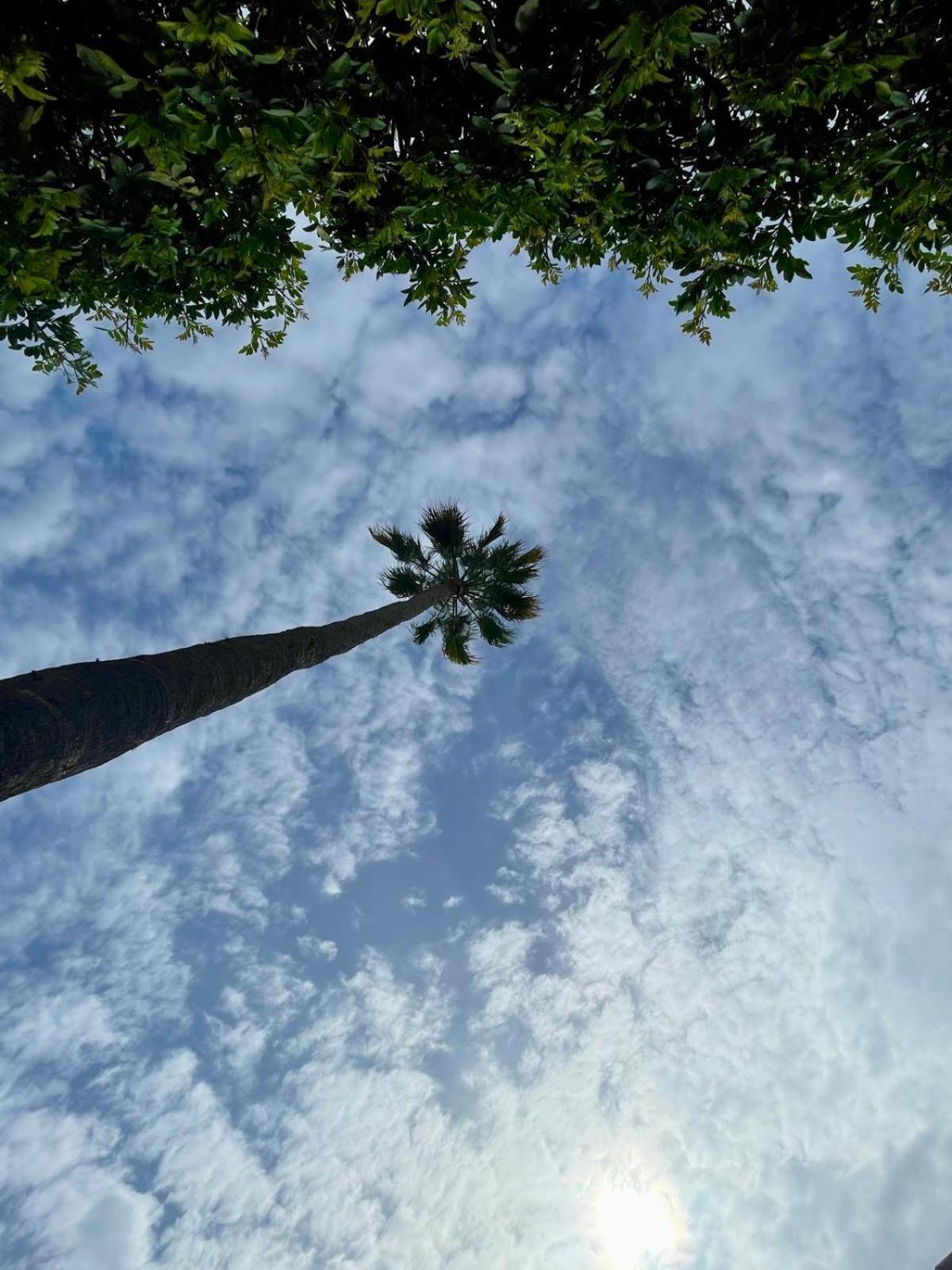 Serenity Garden ماسبالوماس المظهر الخارجي الصورة